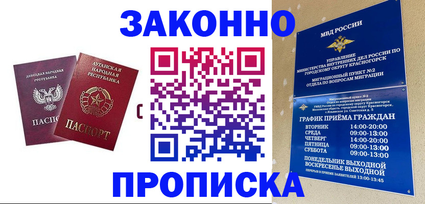 прописка в Мамадыше